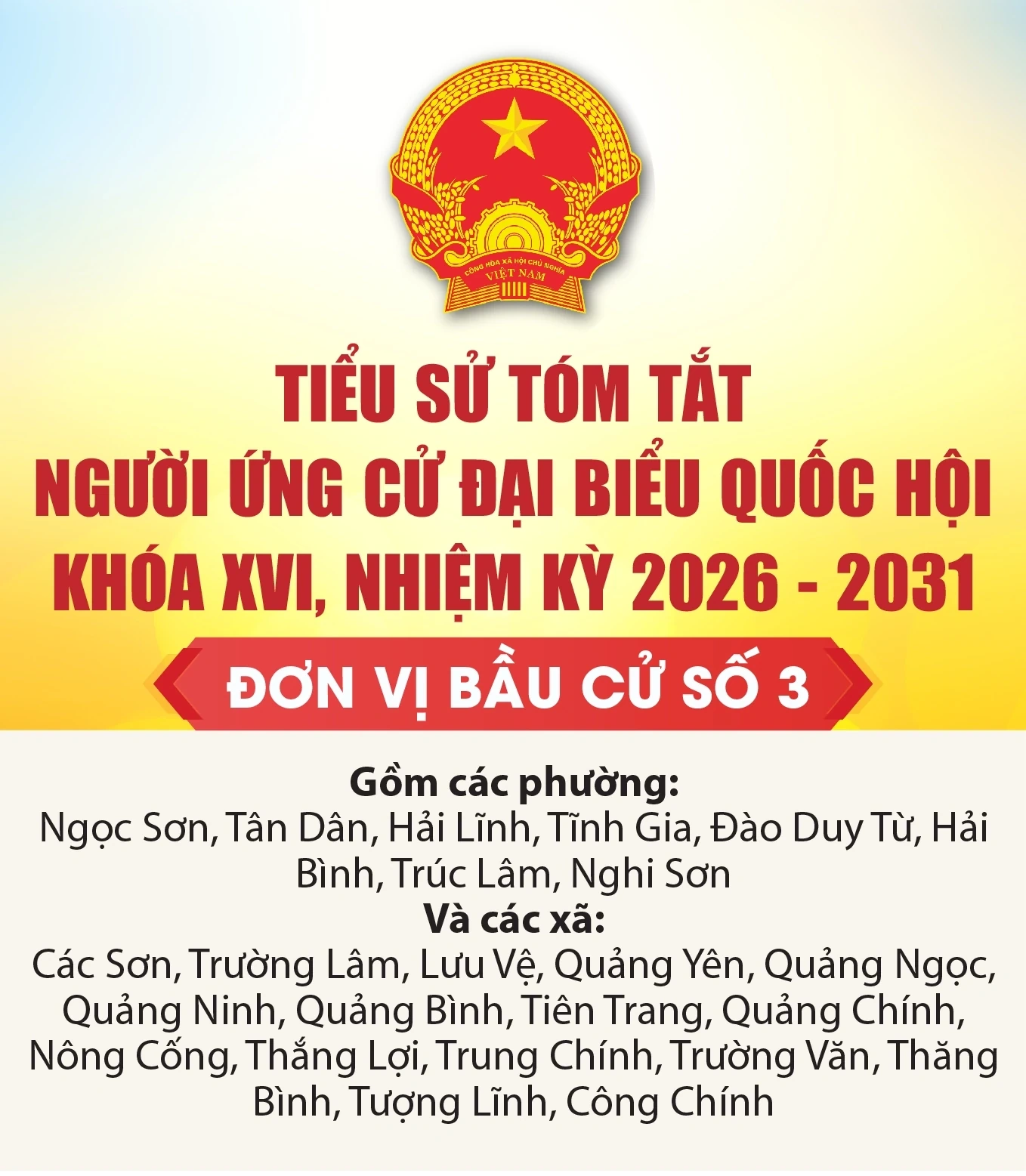 [Infographics] Tiểu sử tóm tắt người ứng cử Đại biểu Quốc hội khóa XVI - Đơn vị bầu cử số 3 tại Thanh Hóa