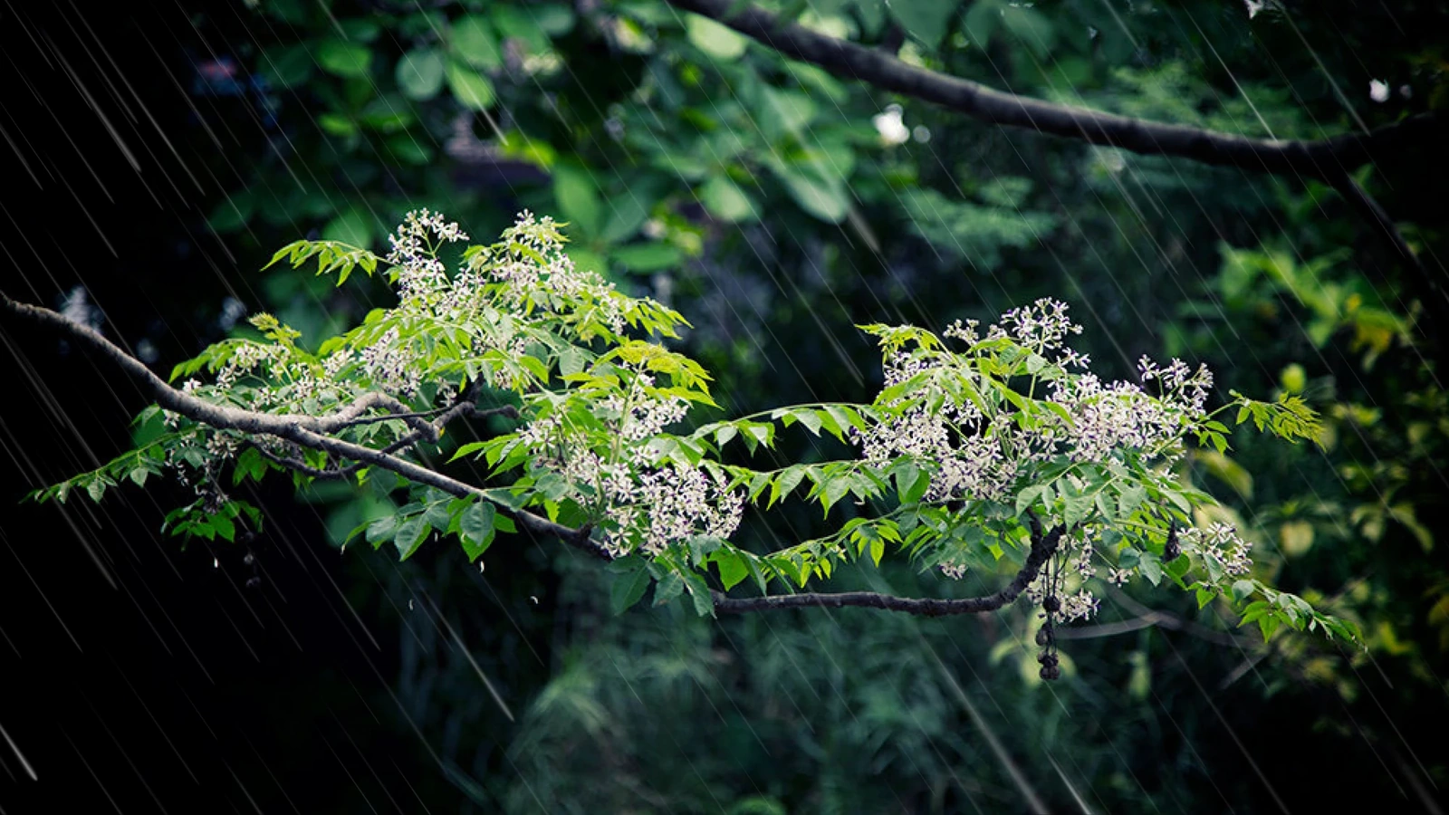 [E-Magazine]: Rồi ngày mai, nắng sẽ lên