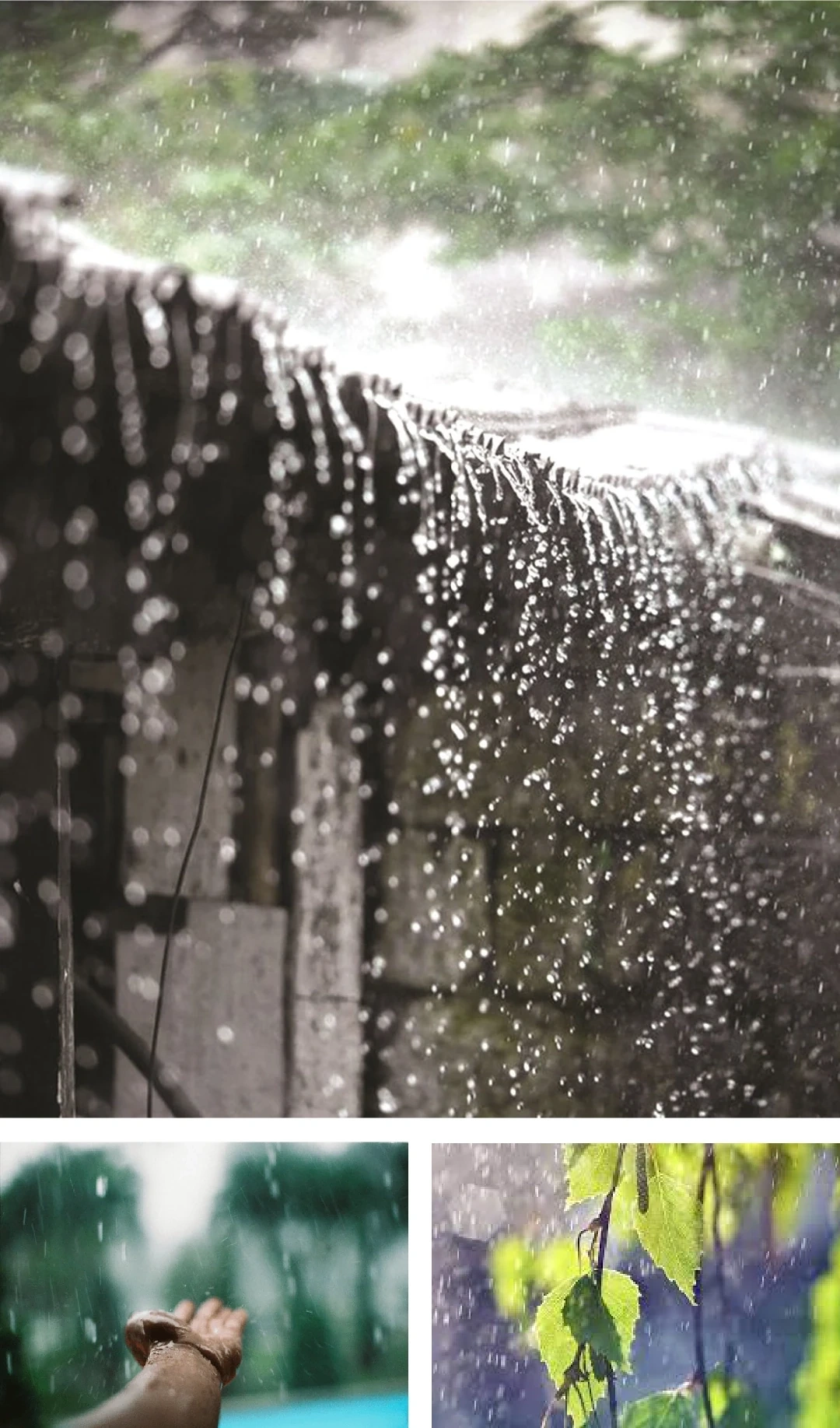 [E-Magazine]: Rồi ngày mai, nắng sẽ lên