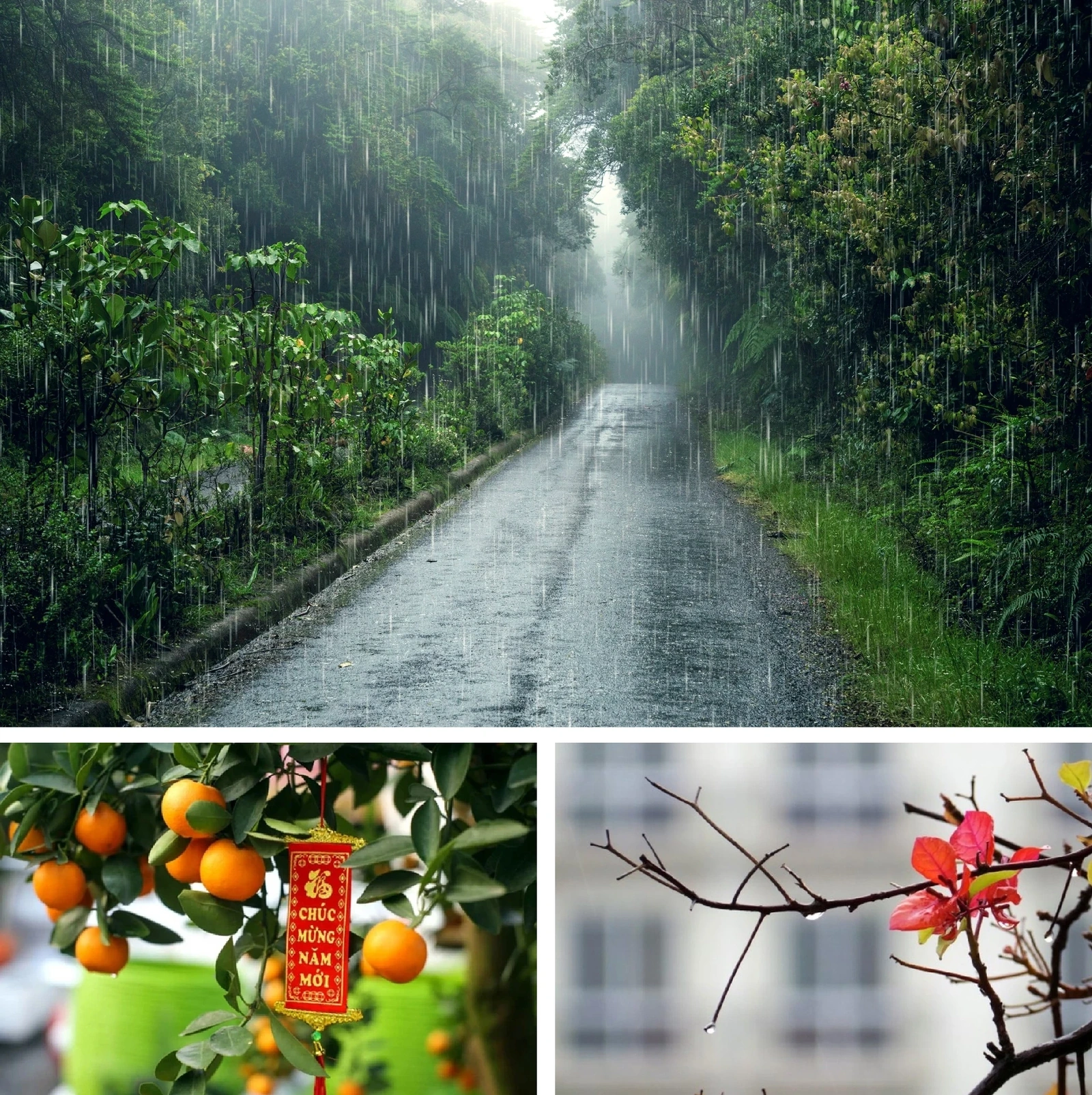 [E-Magazine]: Rồi ngày mai, nắng sẽ lên