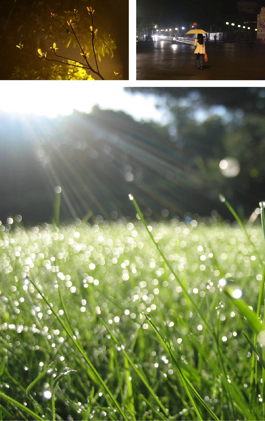 [E-Magazine]: Rồi ngày mai, nắng sẽ lên