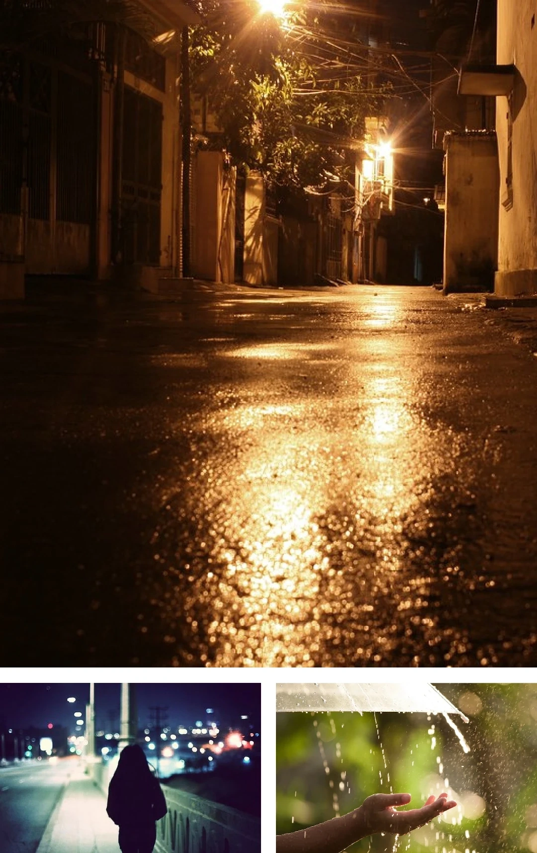 [E-Magazine]: Rồi ngày mai, nắng sẽ lên