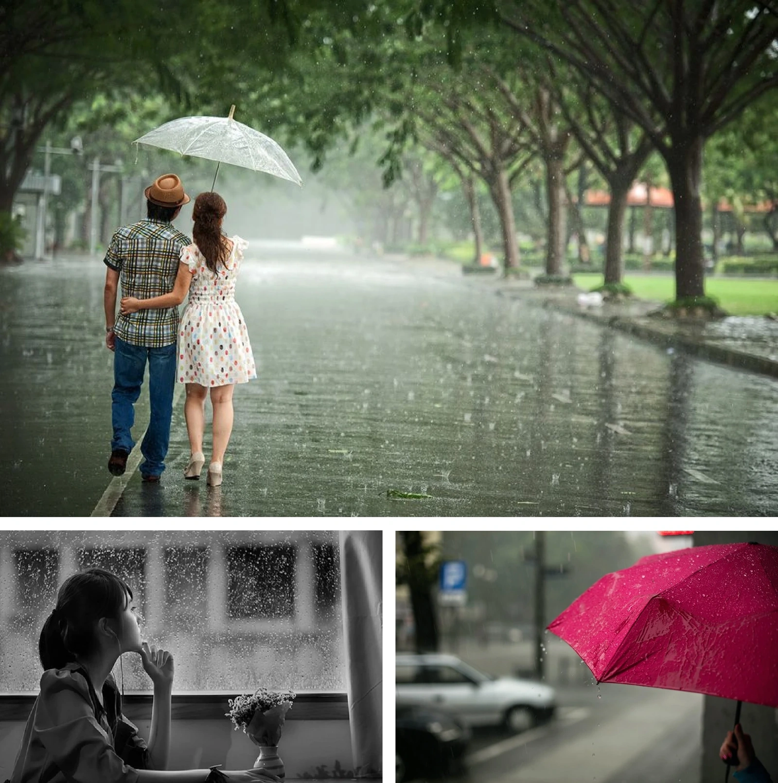 [E-Magazine]: Rồi ngày mai, nắng sẽ lên