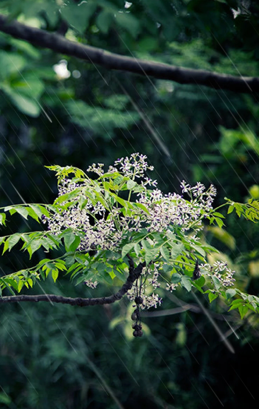 [E-Magazine]: Rồi ngày mai, nắng sẽ lên