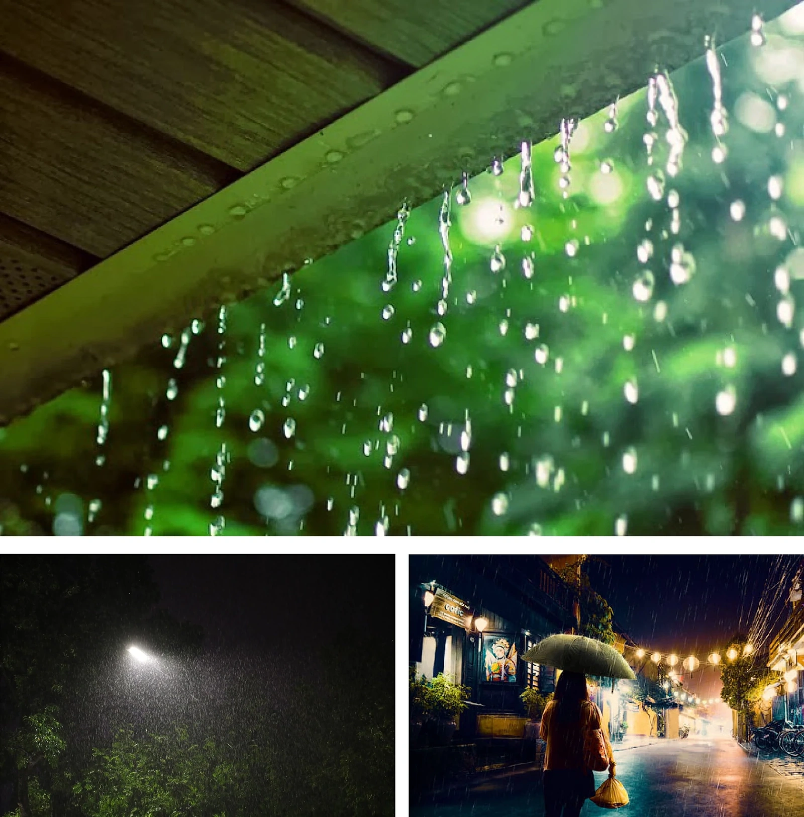 [E-Magazine]: Rồi ngày mai, nắng sẽ lên