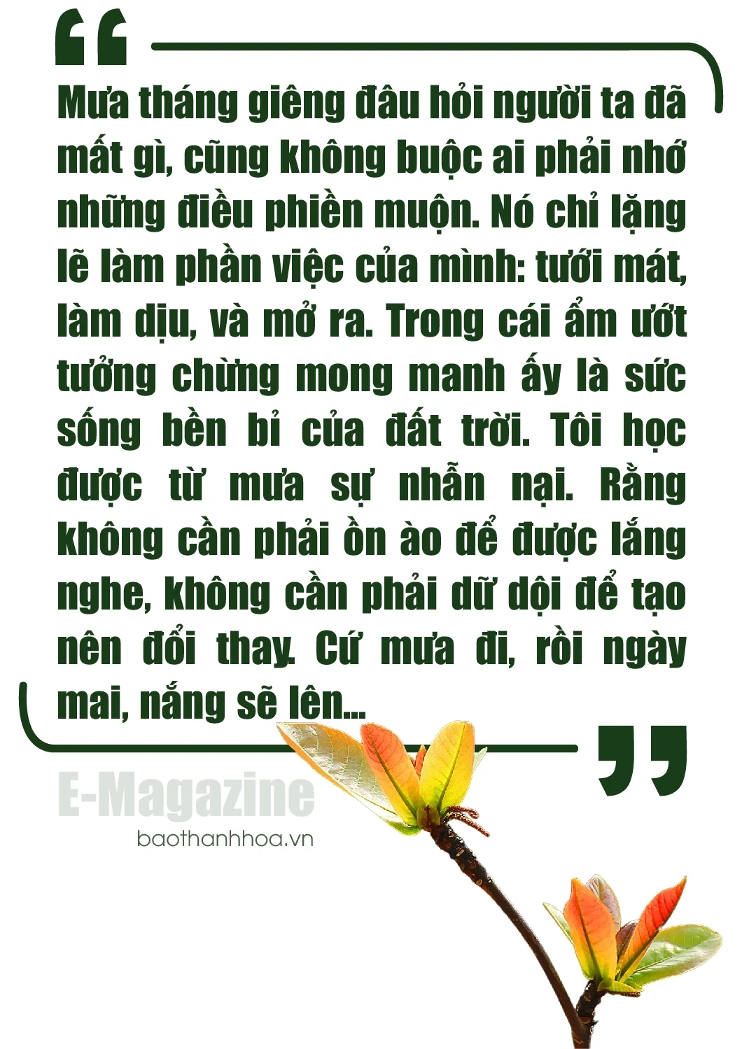 [E-Magazine]: Rồi ngày mai, nắng sẽ lên