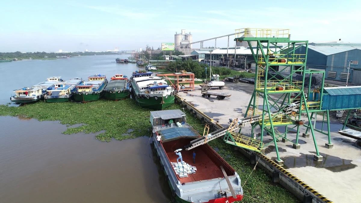 Thúc đẩy hành trình xanh trong canh tác nông nghiệp