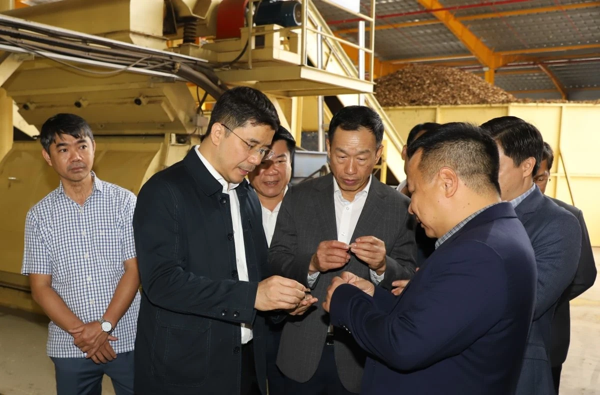 Phó Bí thư Thường trực Tỉnh ủy Nguyễn Hồng Phong dự lễ ra quân sản xuất đầu năm và làm việc tại xã Tân Thành