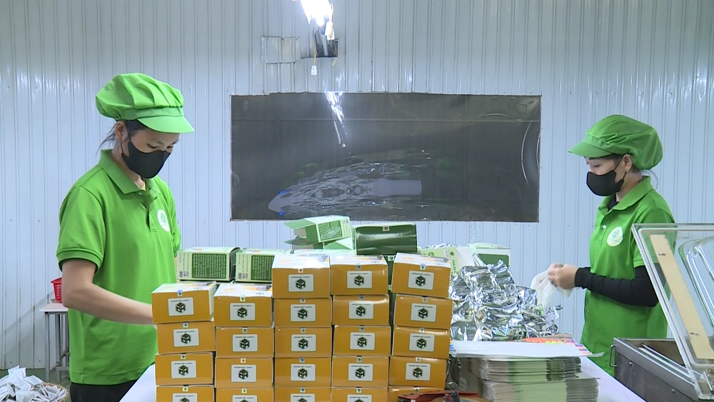 Tài nguyên bản địa - Động lực phát triển kinh tế HTX khu vực miền núi Thanh Hóa