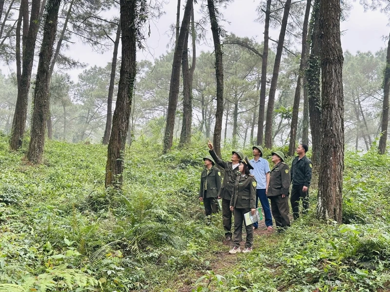 Giữ rừng trong mùa lễ hội