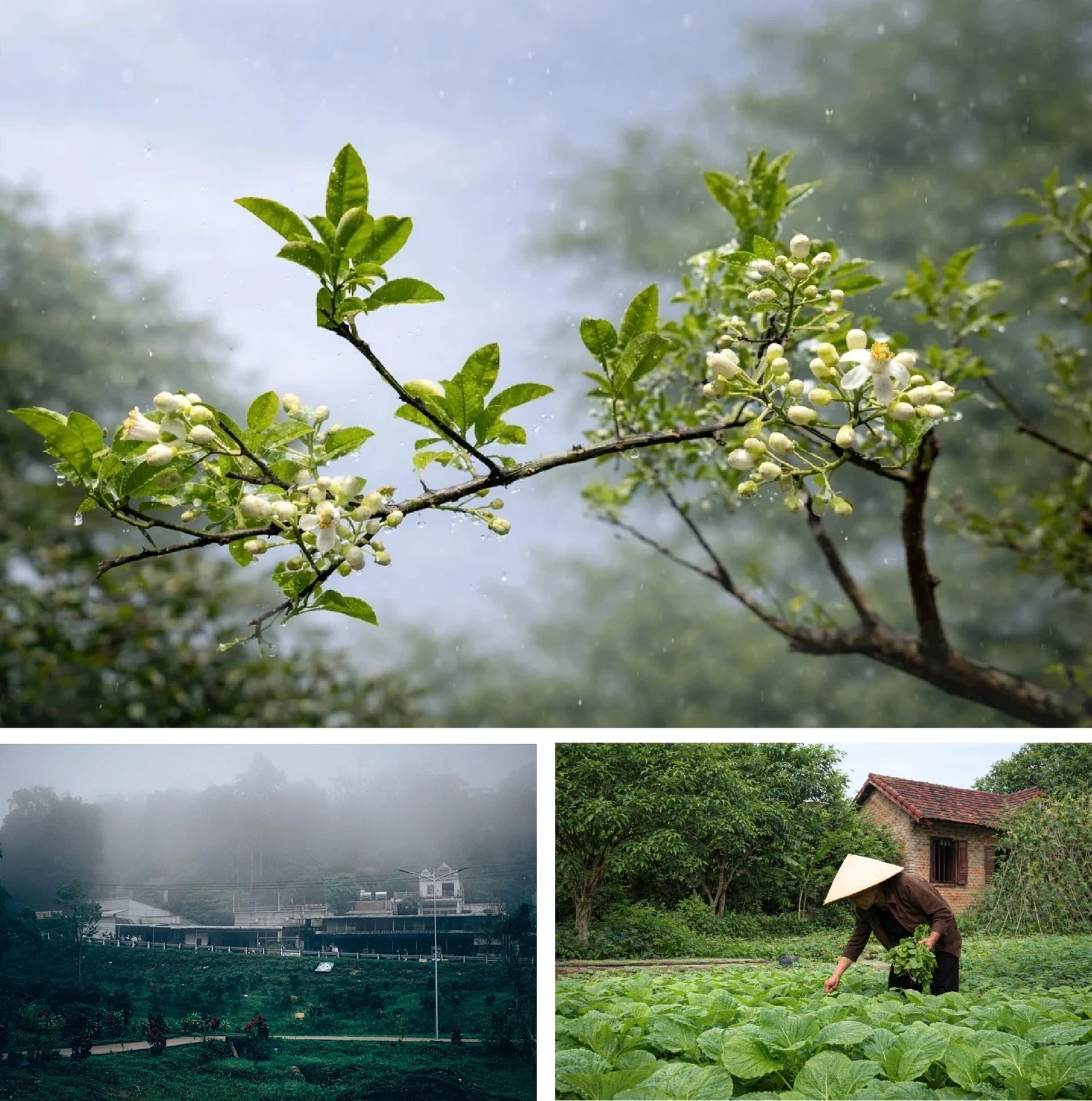 [E-Magazine]: Nghiêng vai tháng Giêng