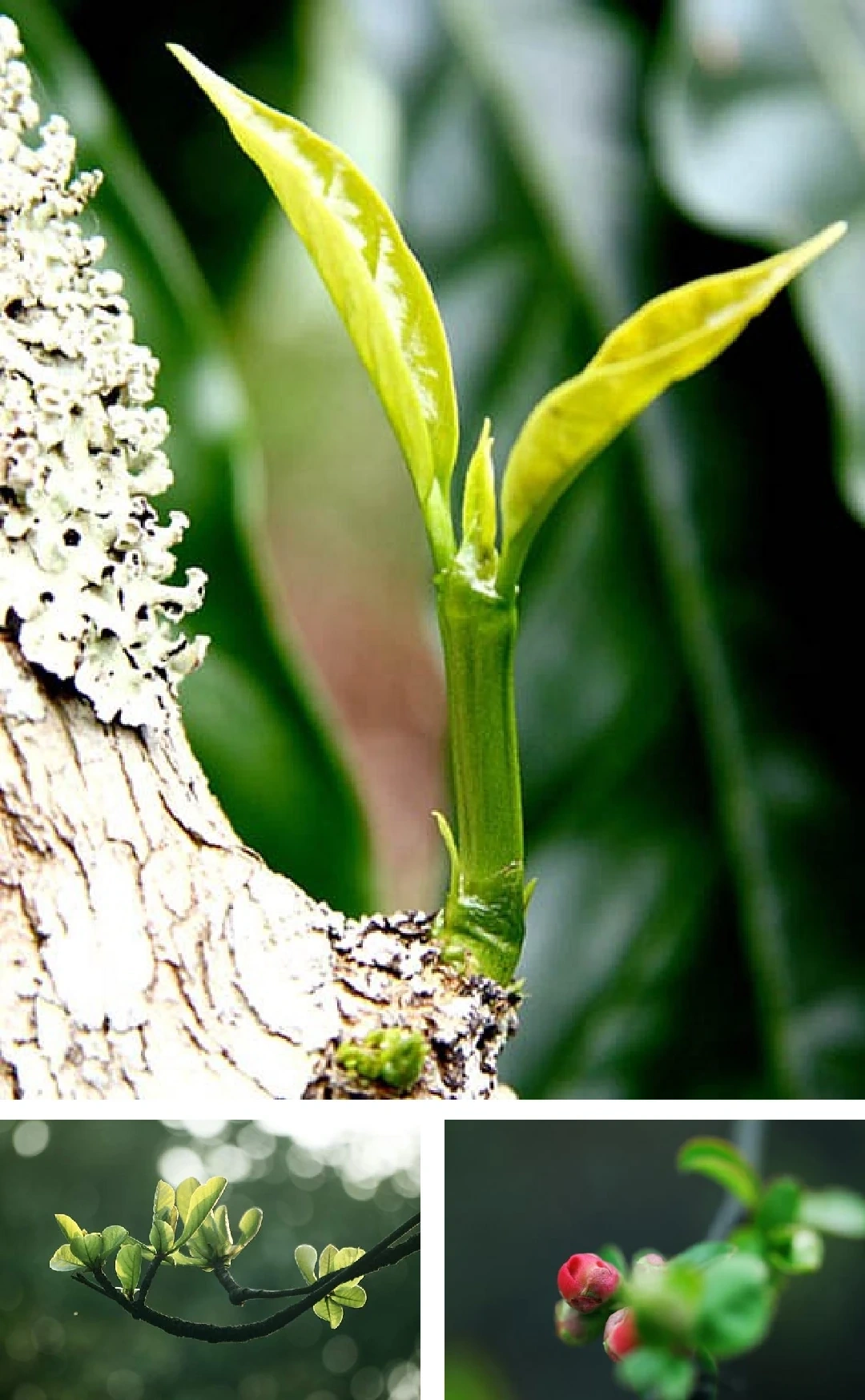 [E-Magazine]: Nghiêng vai tháng Giêng