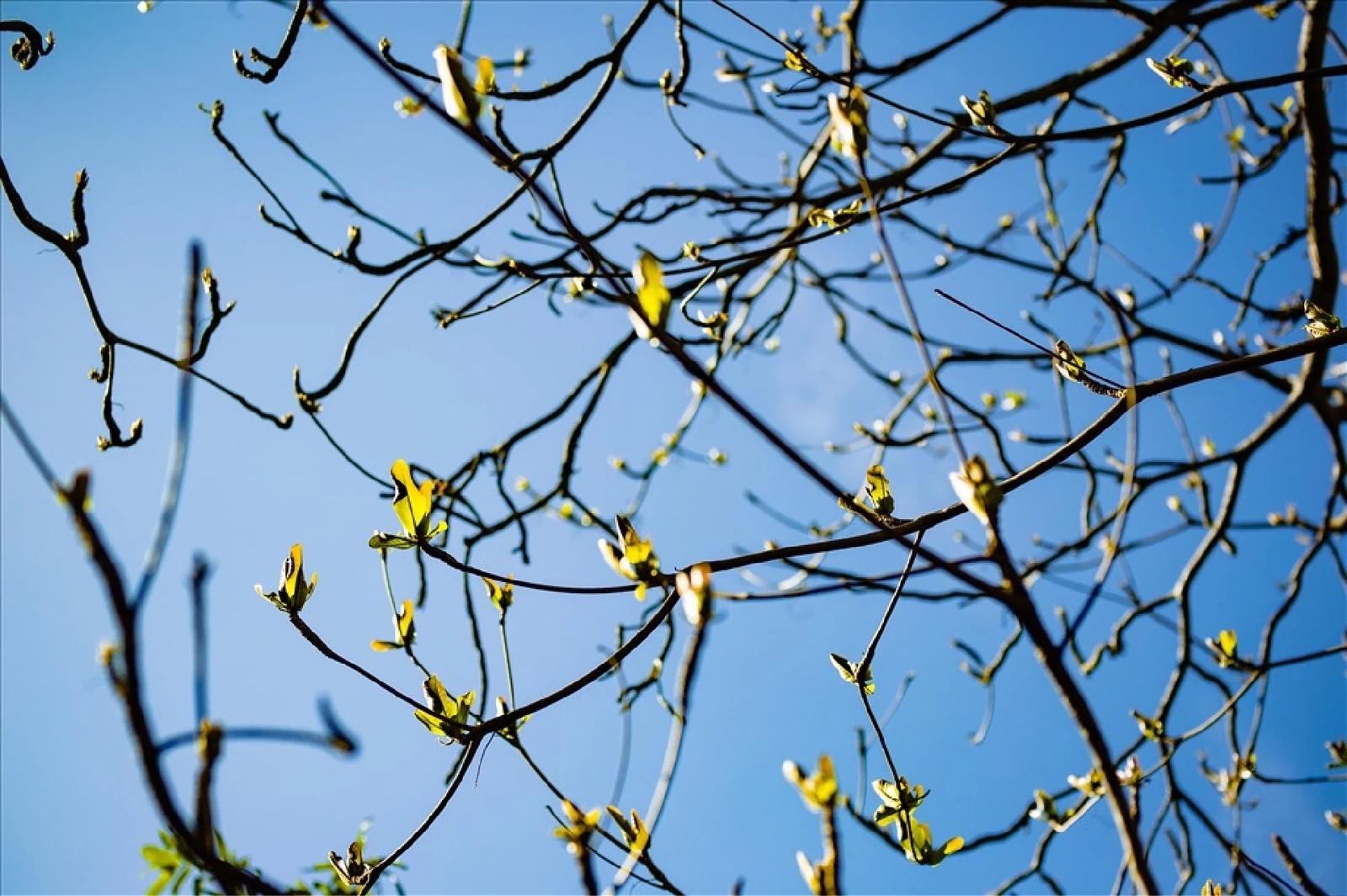 [E-Magazine]: Nghiêng vai tháng Giêng