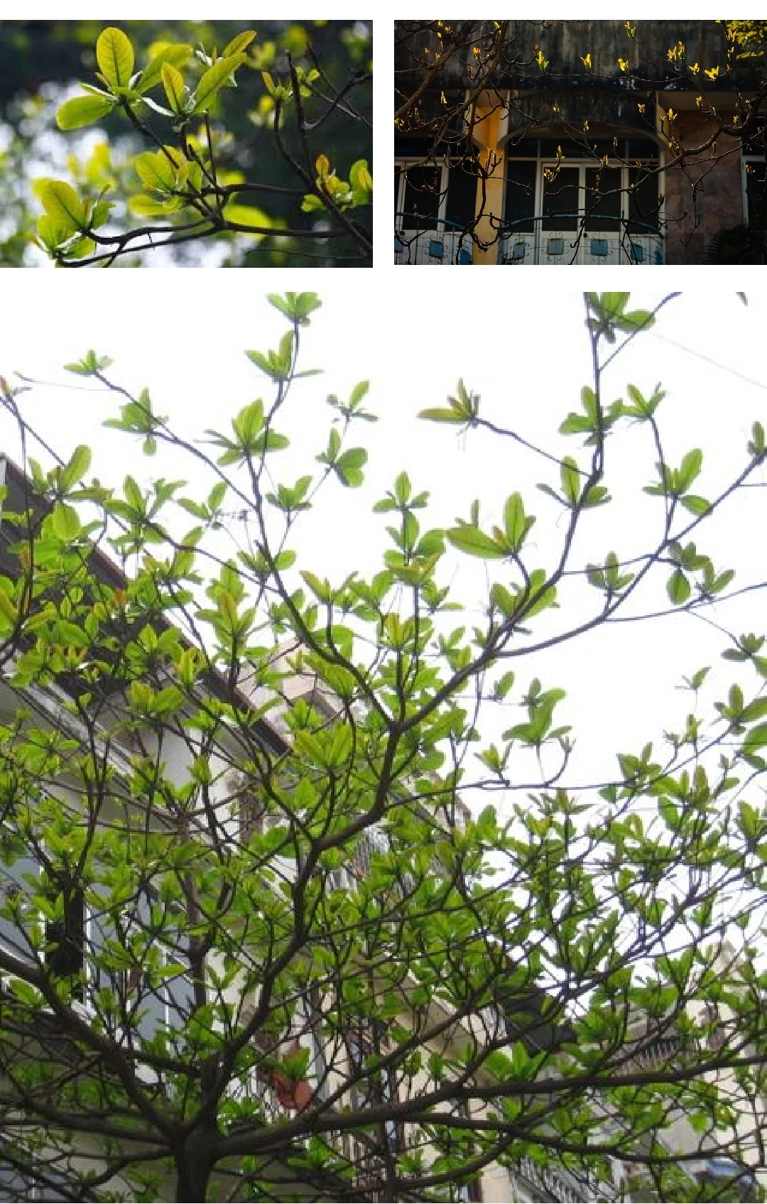 [E-Magazine]: Nghiêng vai tháng Giêng