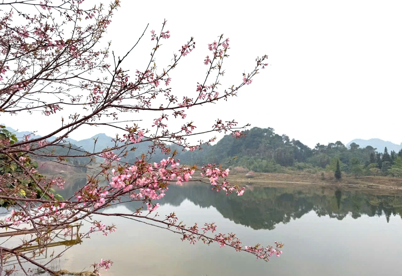 [E-Magazine]: Nghiêng vai tháng Giêng