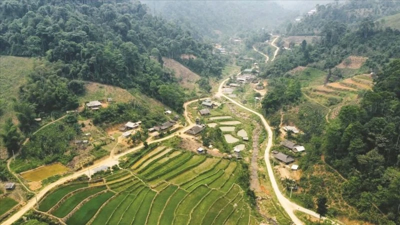 Từ bục giảng vùng cao đến khát vọng đại diện dân cử