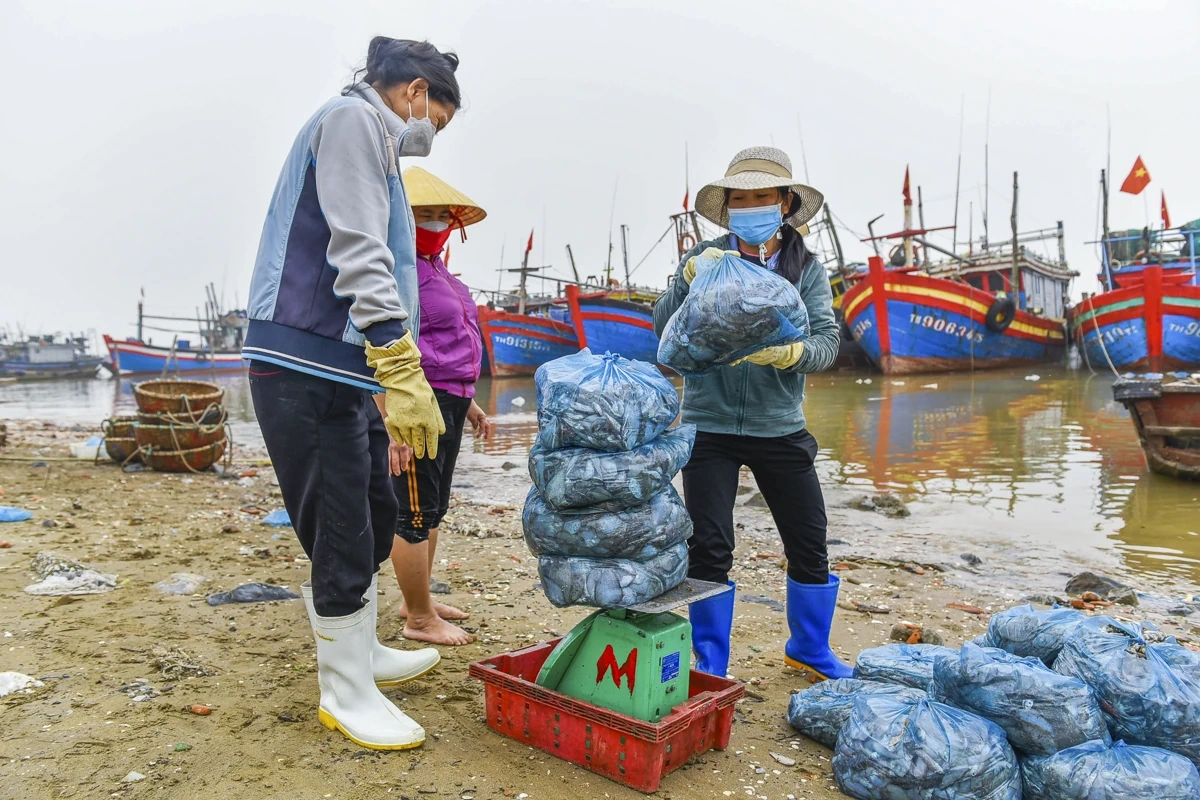 Lặng lẽ mưu sinh nơi cửa biển: Khi ngày 8/3 trôi qua như bao ngày khác