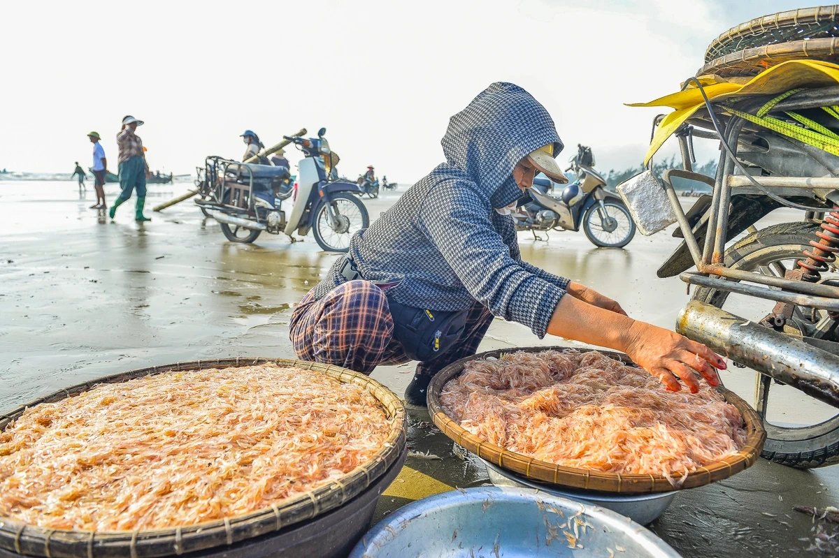 Lặng lẽ mưu sinh nơi cửa biển: Khi ngày 8/3 trôi qua như bao ngày khác