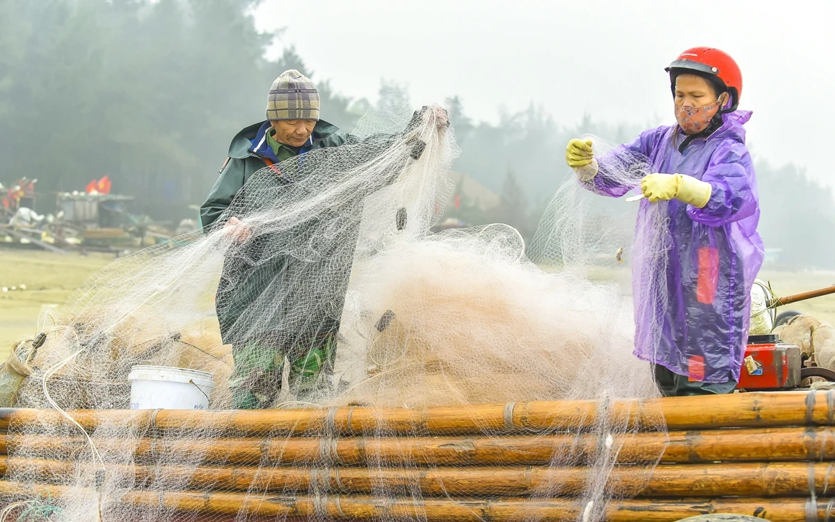 Lặng lẽ mưu sinh nơi cửa biển: Khi ngày 8/3 trôi qua như bao ngày khác
