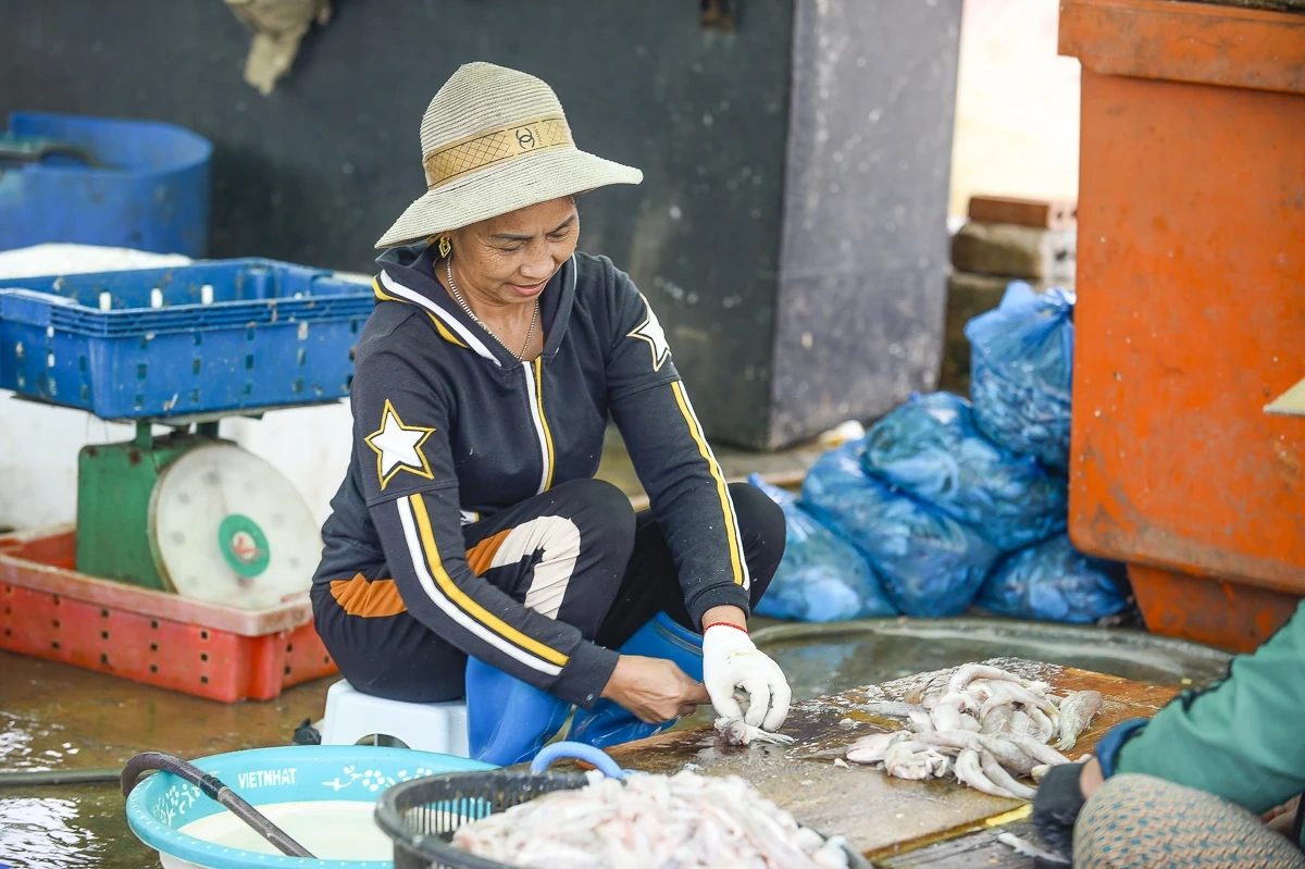 Lặng lẽ mưu sinh nơi cửa biển: Khi ngày 8/3 trôi qua như bao ngày khác
