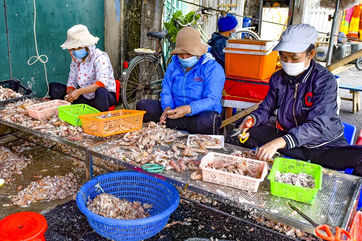 Lặng lẽ mưu sinh nơi cửa biển: Khi ngày 8/3 trôi qua như bao ngày khác
