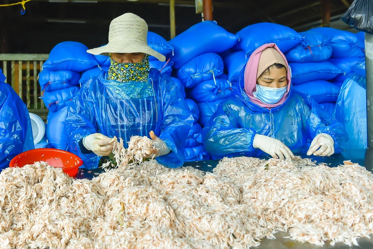 Lặng lẽ mưu sinh nơi cửa biển: Khi ngày 8/3 trôi qua như bao ngày khác