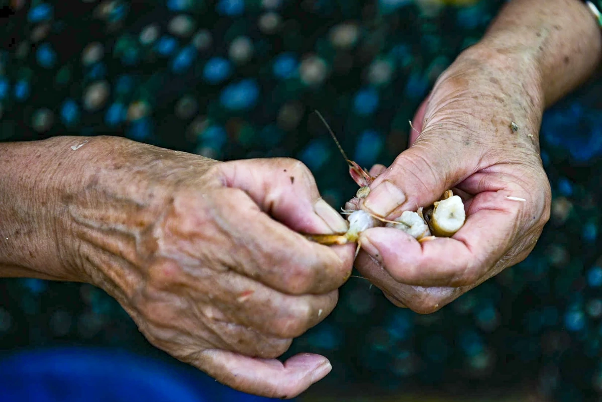 Lặng lẽ mưu sinh nơi cửa biển: Khi ngày 8/3 trôi qua như bao ngày khác