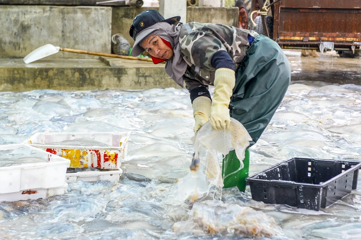 Lặng lẽ mưu sinh nơi cửa biển: Khi ngày 8/3 trôi qua như bao ngày khác