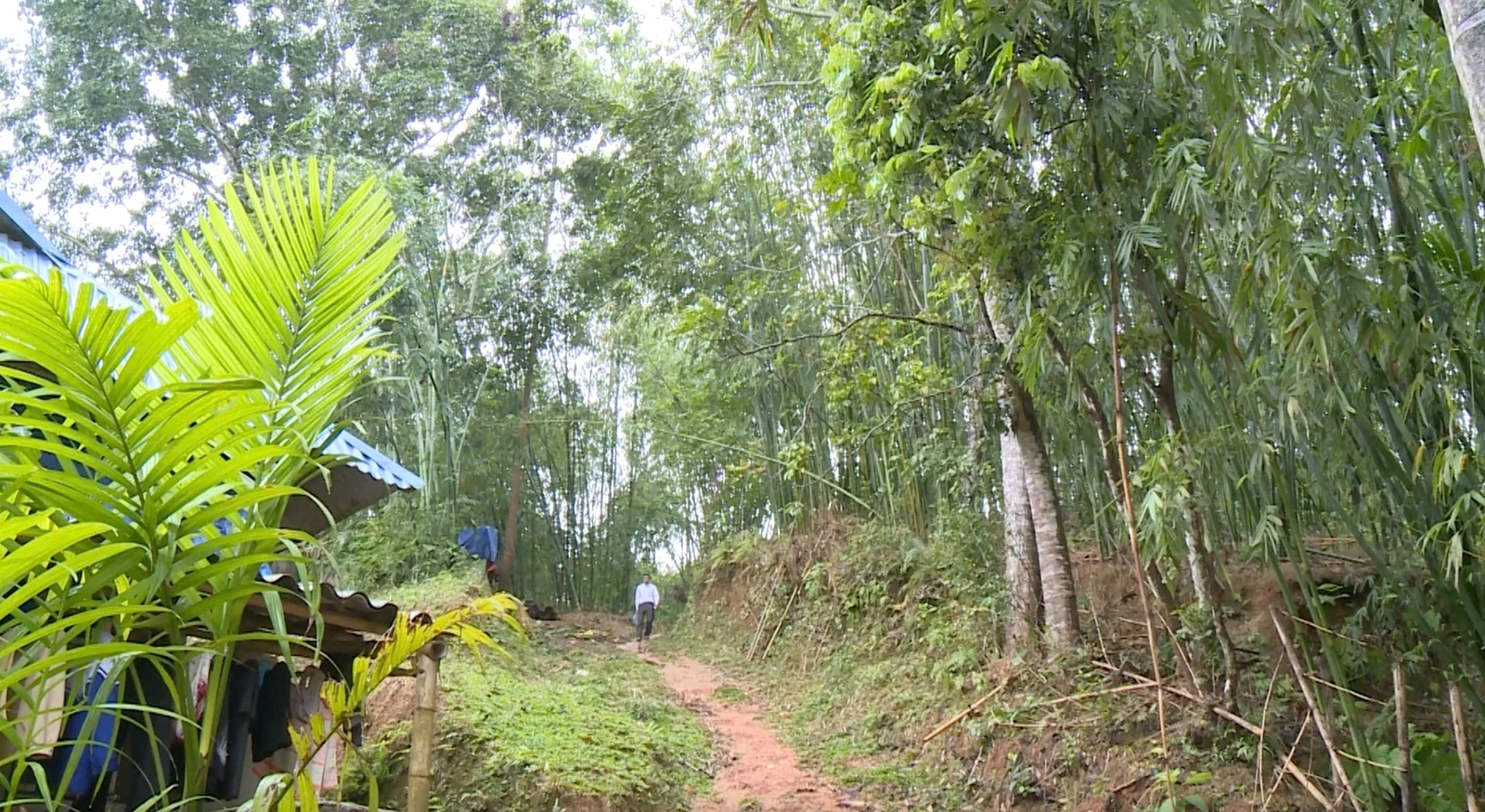 Tuyên truyền bầu cử: Để bà con nghe bằng tai và hiểu bằng bụng