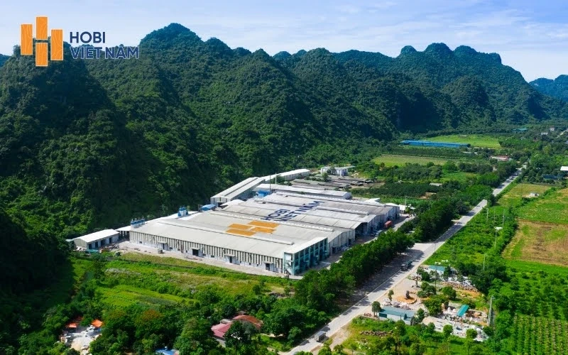 Nhà máy sản xuất sàn gỗ Hobi Việt Nam: Công nghệ hiện đại, đạt chuẩn quốc tế