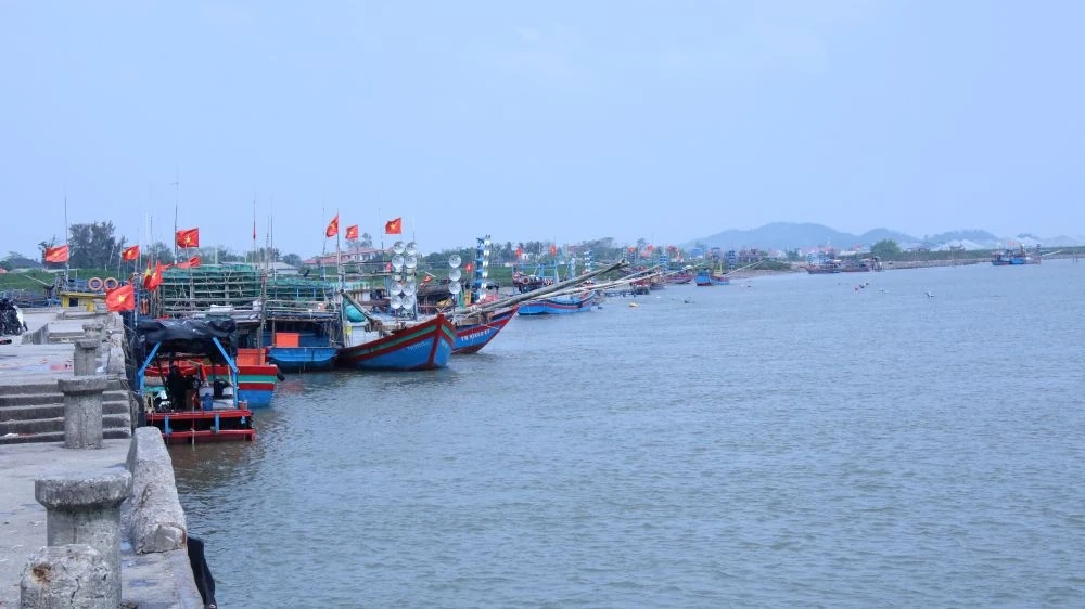 Sẵn sàng cho ngày hội lớn!