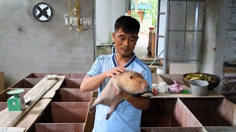 Mở lối làm giàu ở nông thôn