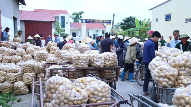 Từ nghị trường đến cuộc sống (Bài 2): Đô thị khởi sắc - nông thôn chuyển mình