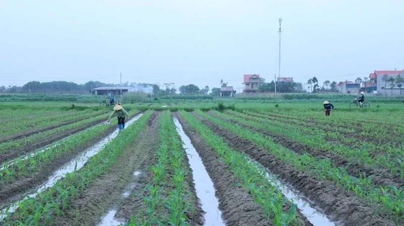 Từ nghị trường đến cuộc sống (Bài 2): Đô thị khởi sắc - nông thôn chuyển mình