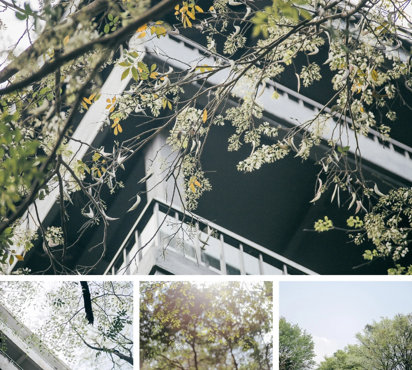 [E-Magazine]: Chân người in dấu nẻo quê