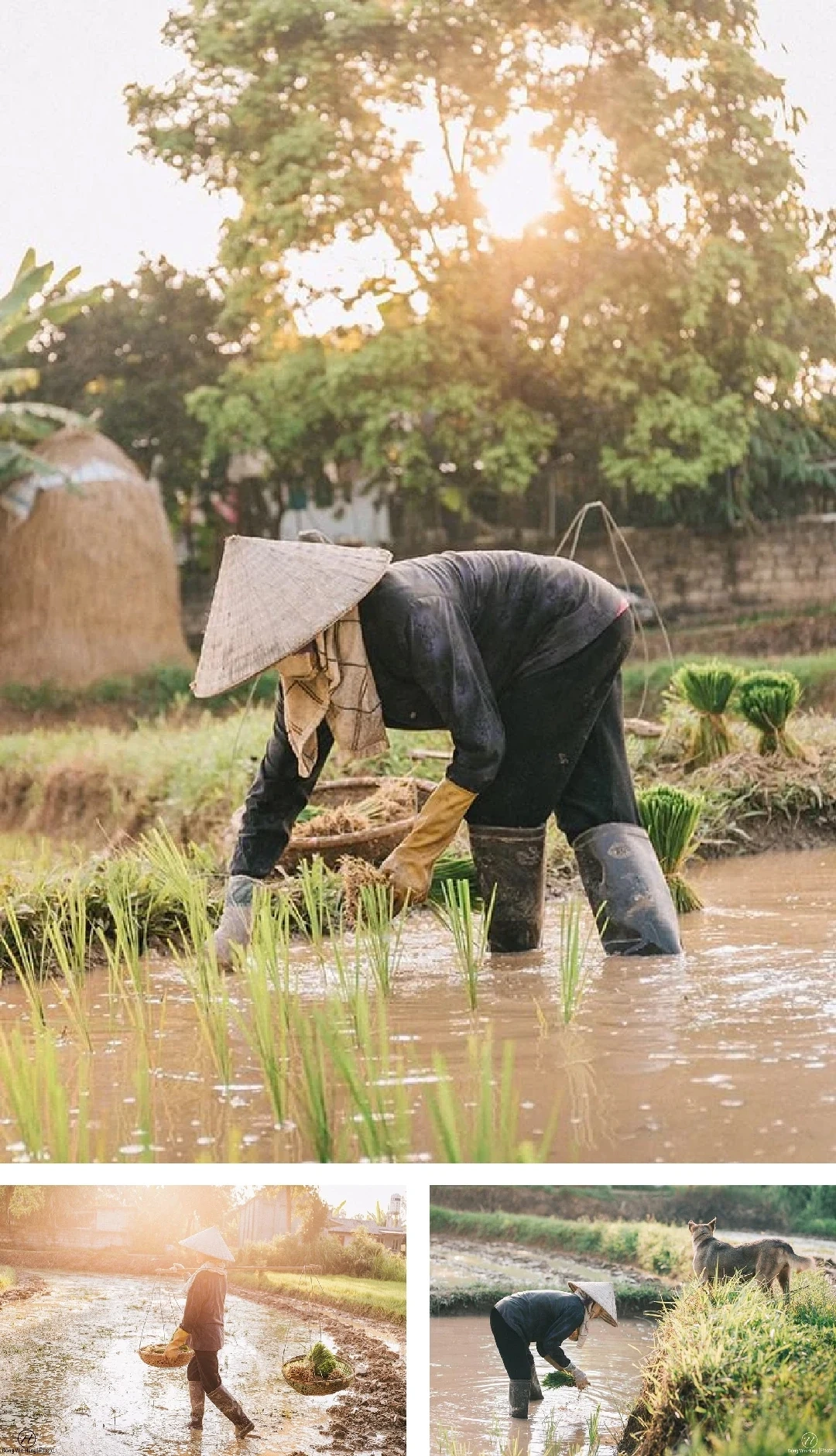 [E-Magazine]: Chân người in dấu nẻo quê