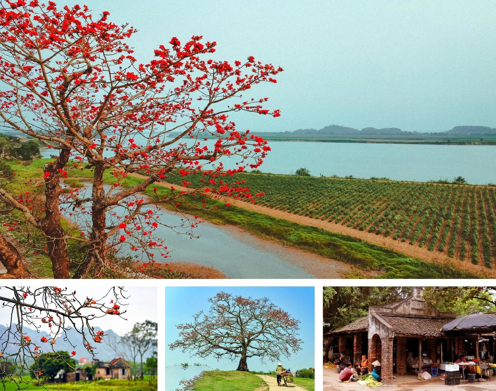 [E-Magazine]: Chân người in dấu nẻo quê