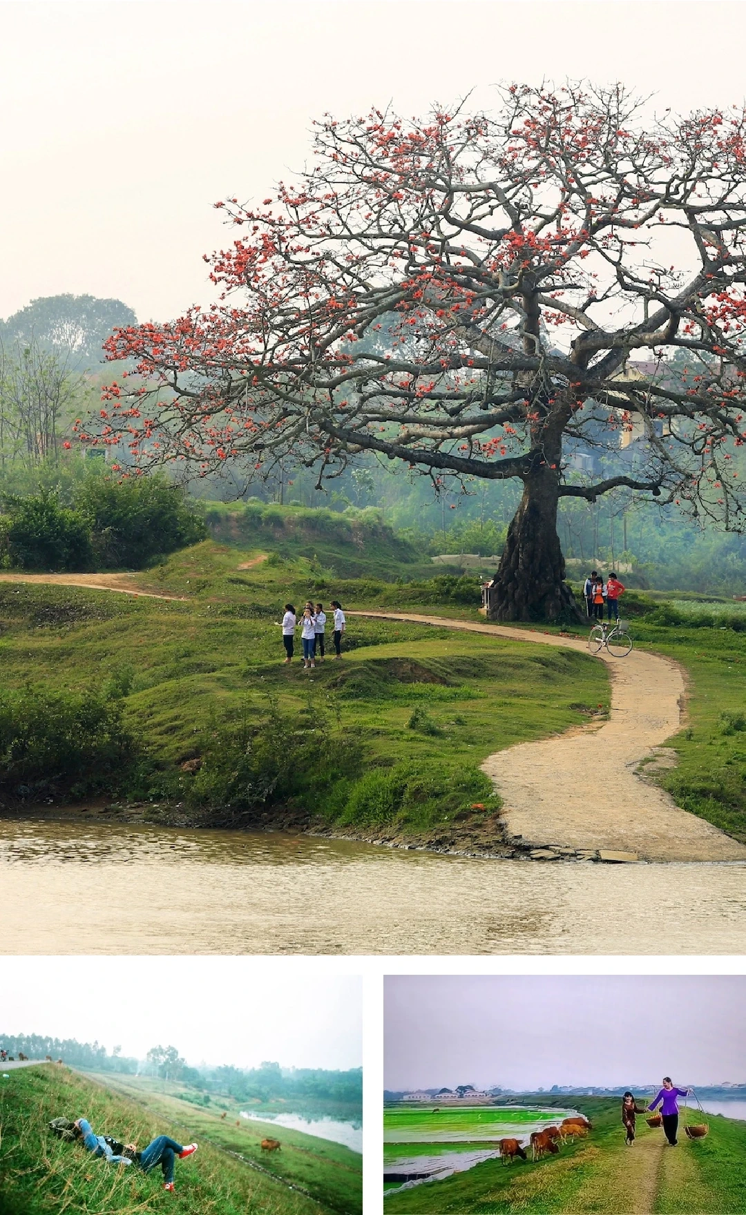 [E-Magazine]: Chân người in dấu nẻo quê