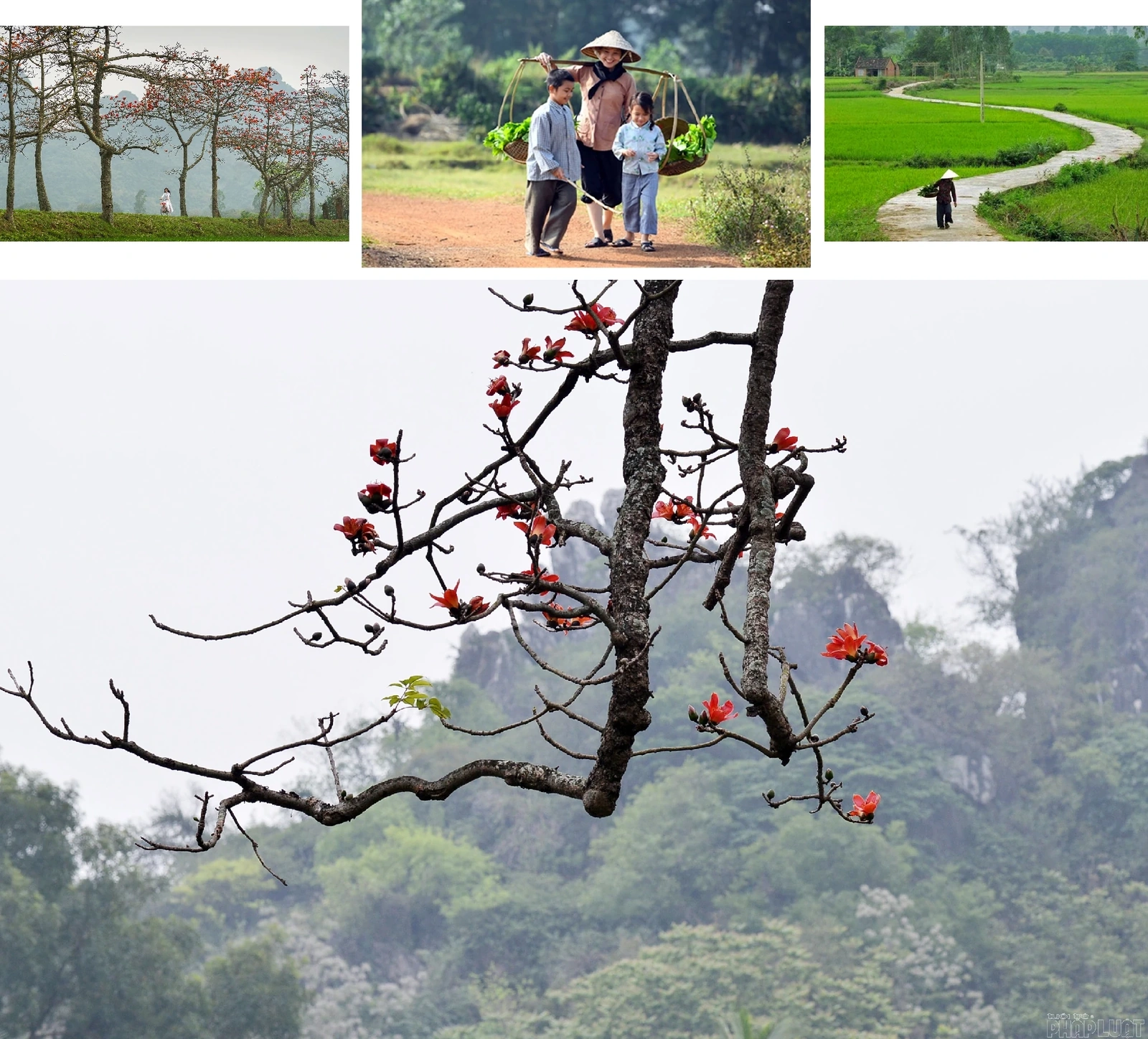 [E-Magazine]: Chân người in dấu nẻo quê