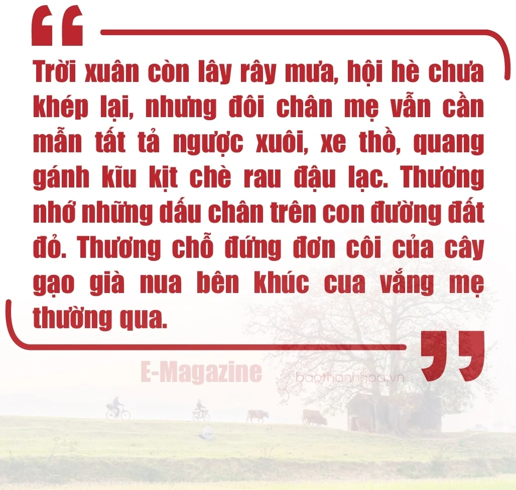 [E-Magazine]: Chân người in dấu nẻo quê