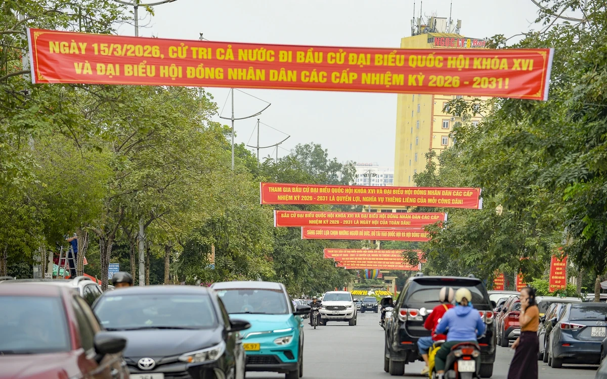 Thanh Hóa rực rỡ cờ hoa hướng về ngày hội lớn