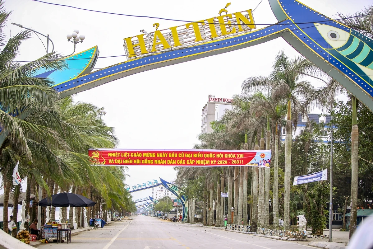 Thanh Hóa rực rỡ cờ hoa hướng về ngày hội lớn