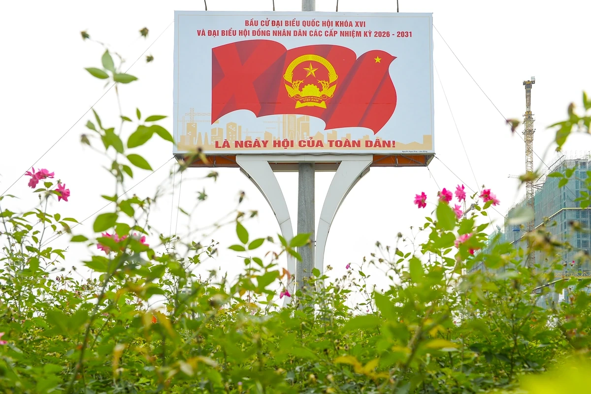 Thanh Hóa rực rỡ cờ hoa hướng về ngày hội lớn