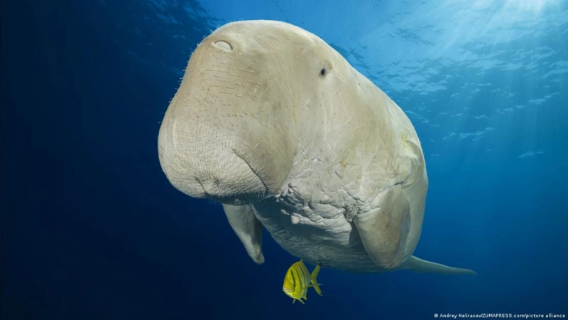 Chiến sự Mỹ, Israel và Iran lan rộng, nguy cơ khủng hoảng khu vực