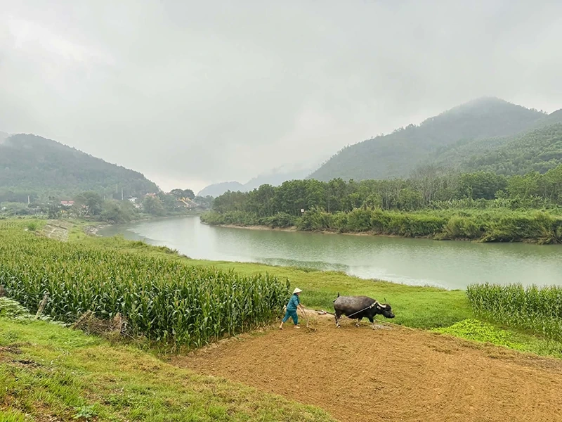 Xuân trên vùng ngã ba Bông
