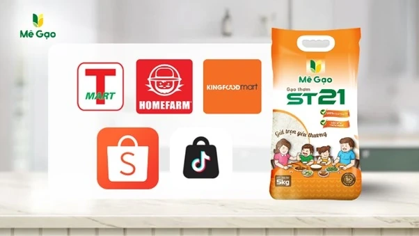 So sánh gạo ST21 và gạo ST25: Khác biệt về độ dẻo và mùi thơm