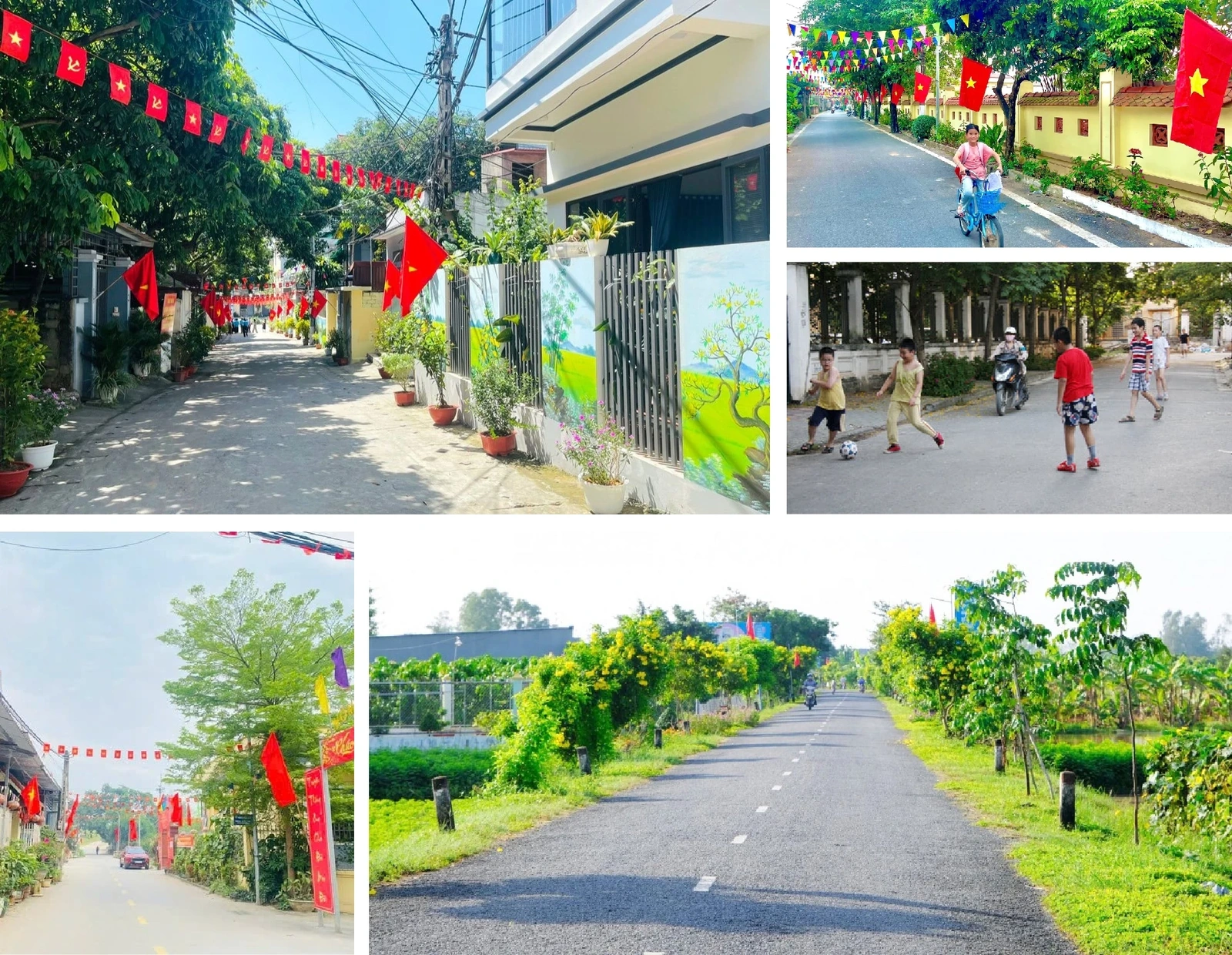 [E-Magazine]: Hoa trong ngõ vắng