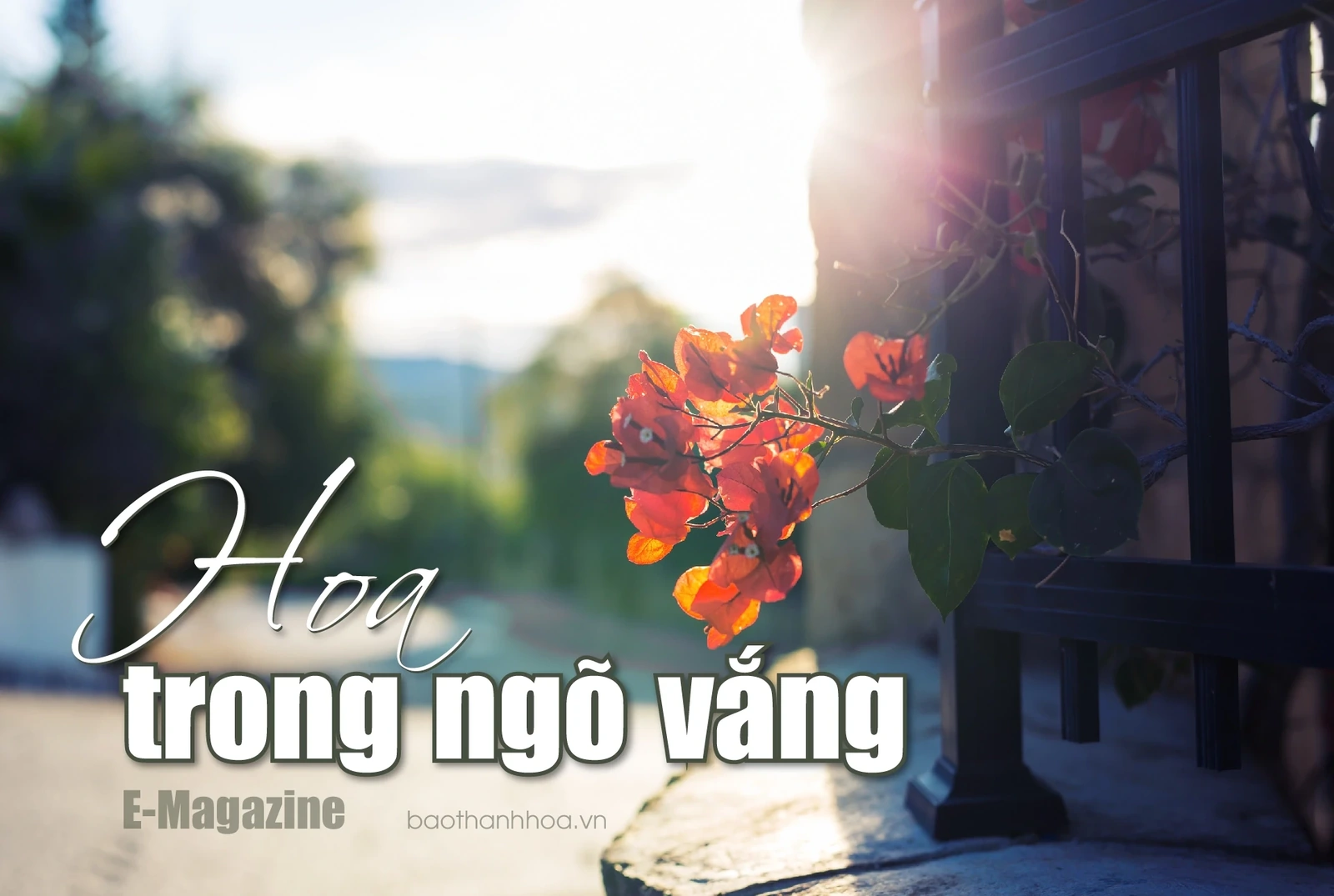 [E-Magazine]: Hoa trong ngõ vắng