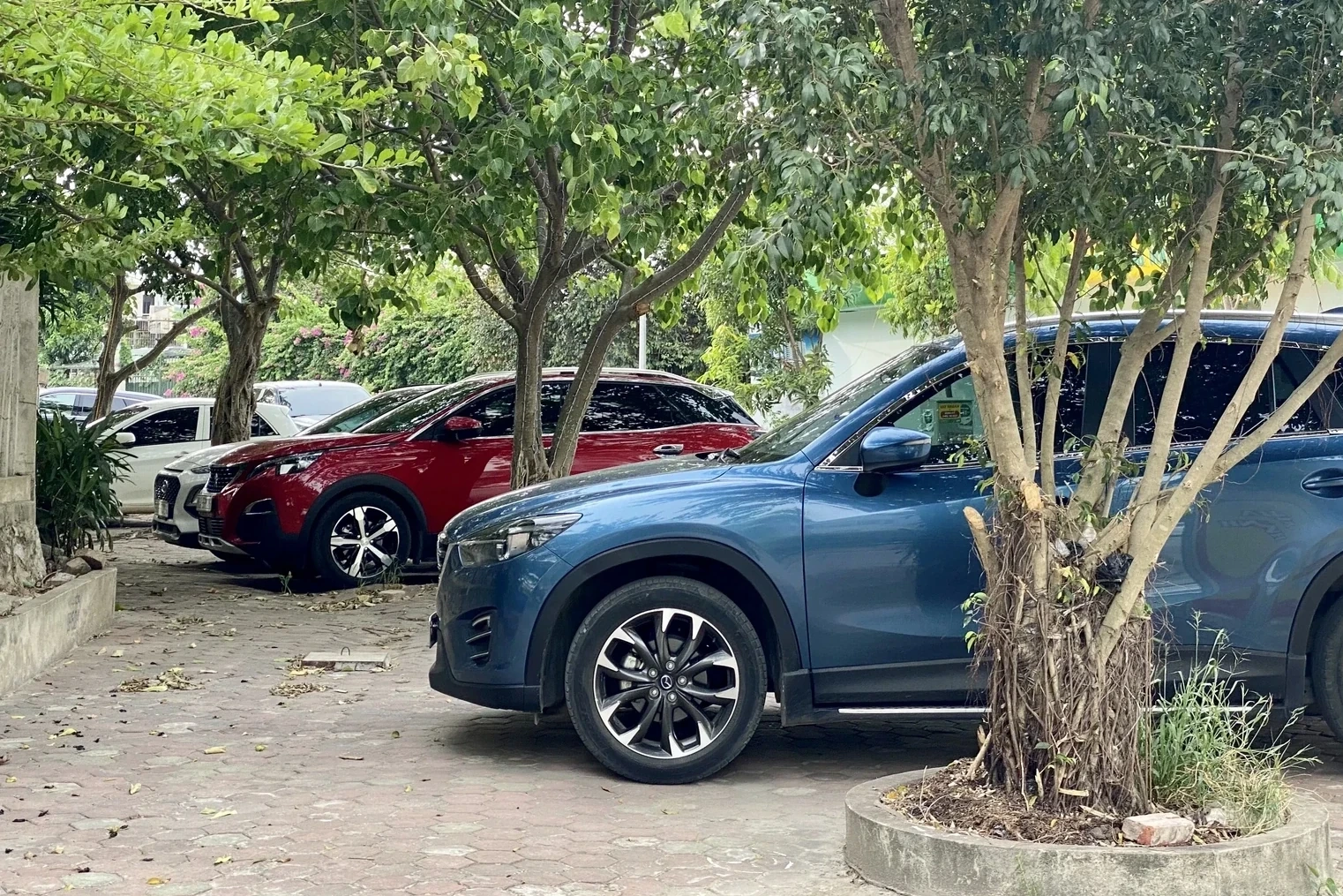 Triển khai thu phí không dừng tại bến xe, bãi đỗ xe trong đô thị đảm bảo theo đúng lộ trình