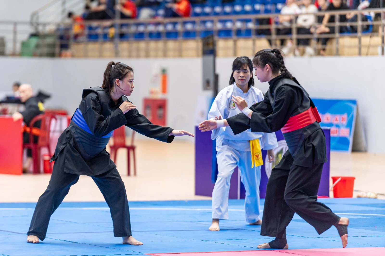 Gần 600 VĐV tranh tài tại Giải vô địch các CLB Pencak Silat quốc gia 2026